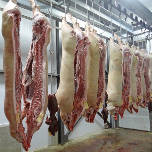 Corona-Krise und Fleischindustrie: Beendet endlich die Leiharbeit